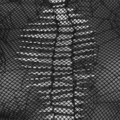 Punkravestore Gothic Spider Web Printting Perspective T-shirt